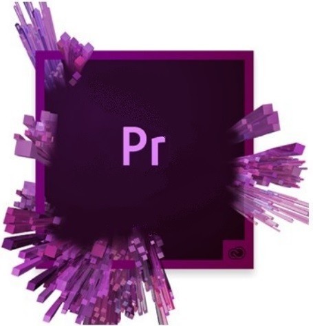 Adobe Premiere Pro (подписка на 1 год)